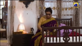 Bahar Nagar - Episode 82 - 11th November 2025